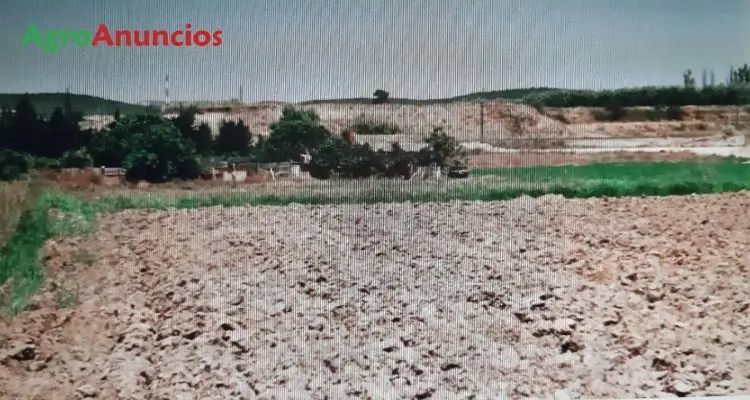 Venta  de Finca de regadío en Zaragoza