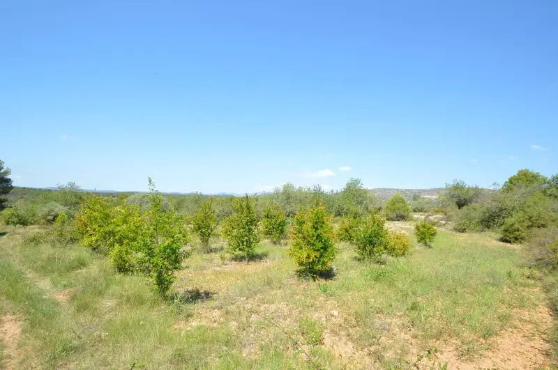 Finca Rustica en Venta Alcalá de Xivert