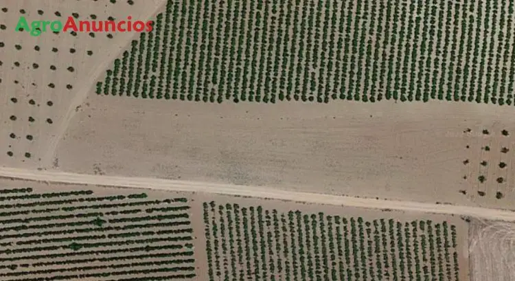 Venta  de Finca rústica en Toledo