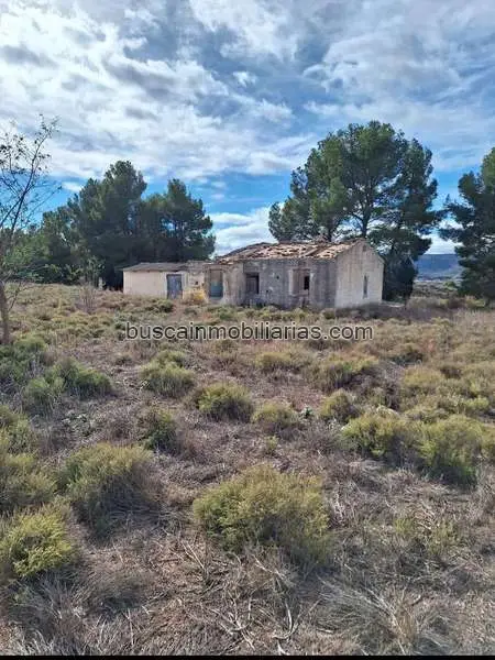 Terreno Rustico 30000m2 Villena Placas Solares Caballos