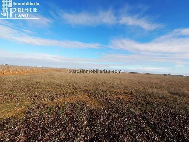Parcela Rustica en Venta Socuéllamos 104000m2