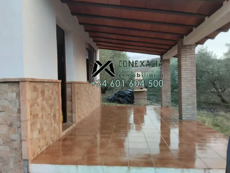 Venta Finca Olvera 1 Hectarea Casa Pozo Vistas