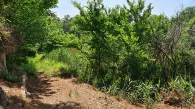 Torre Residencial para Reformar con Huerta y Terreno