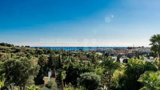 Gran propiedad en El Paraiso Alto
