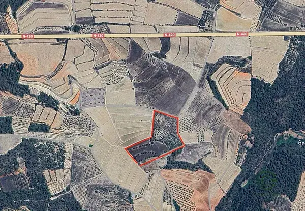 Finca Agricola Els Guiamets Tarragona 246ha