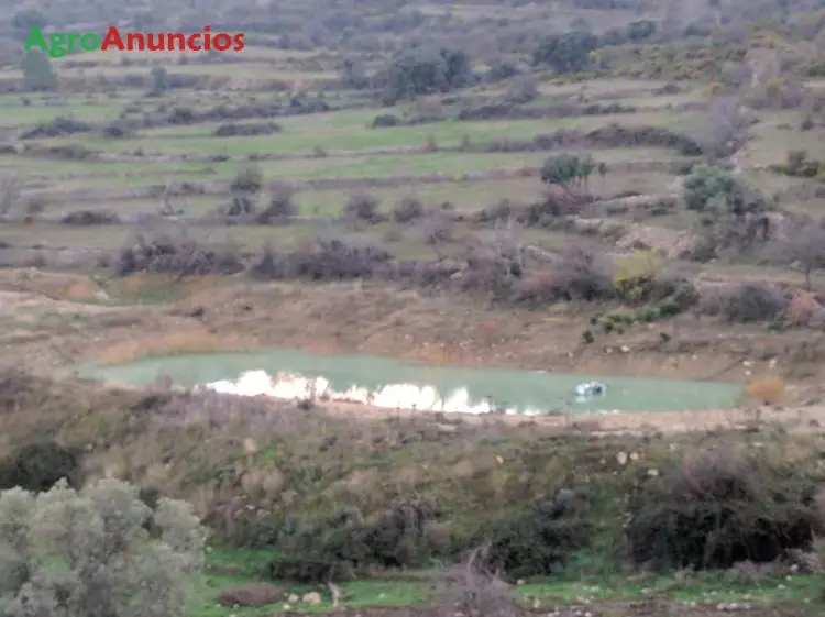 Alquiler  de Finca de pastos para ganado en Castellón