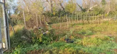 Finca rústica en venta en Plasencia de Jalón