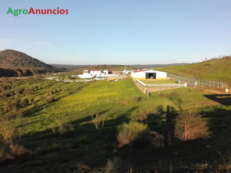 Venta  de Finca de recreo y ganadera en Badajoz