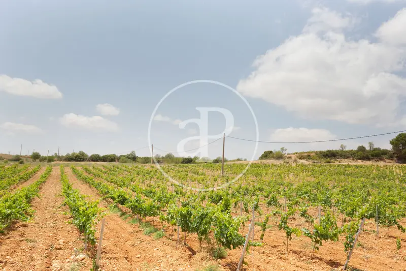 Finca rustica en venta en Requena