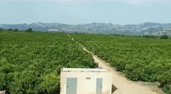 Finca Agricola Tarragona 53ha 2 Casas 2 Naves 1 Millon KG Citricos