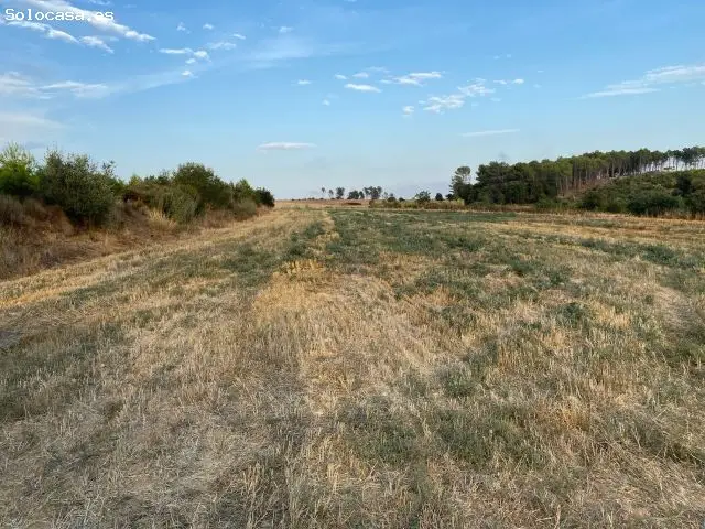Finca Rustica en Venta Vilopriu Girona