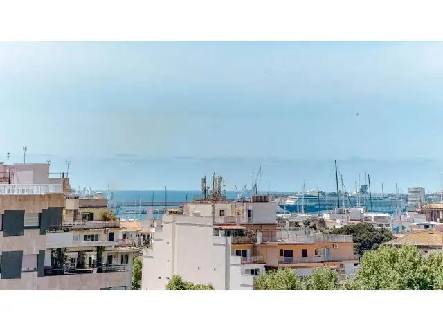 Piso Centrico Palma Reformado 3 Dormitorios 2 Banos Terraza Ascensor Trastero