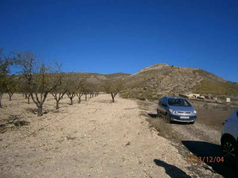 Terreno en Venta Yecla 20000m2 Cerca Montana