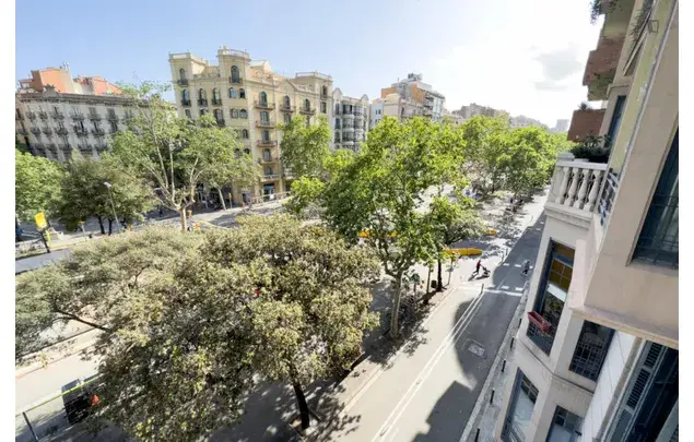 Rent 8 bedroom apartment in Barcelona