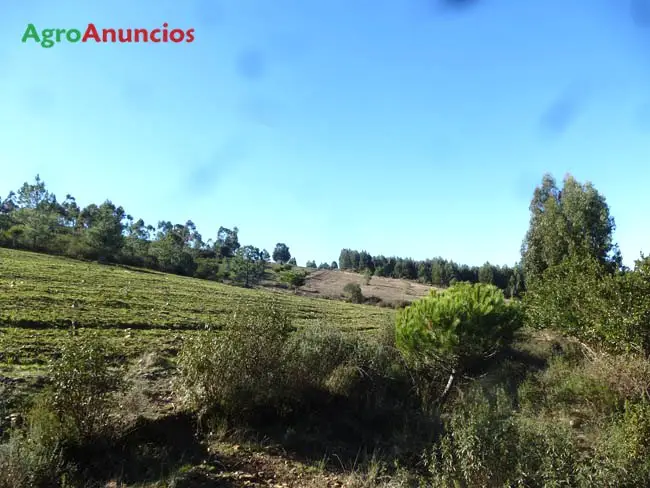 Venta  de Finca rústica de recreo y caza mayor en Cáceres