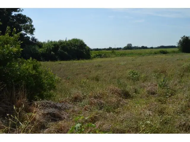 Finca Rustica en Venta Palau de Santa Eulalia Girona