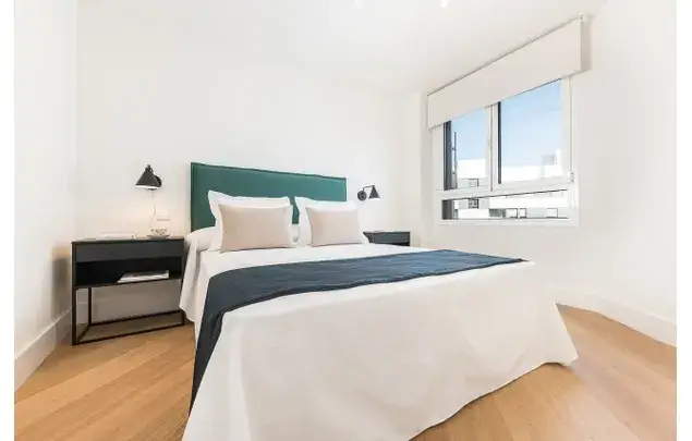 Alquiler Apartamento 1 Dormitorio 120m2 Madrid Rios Rosas