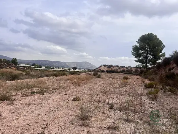 Parcela Regadío 12697m2 Alhama Murcia