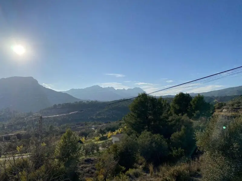 Terreno Rustico con Olivos en Benissa Alicante