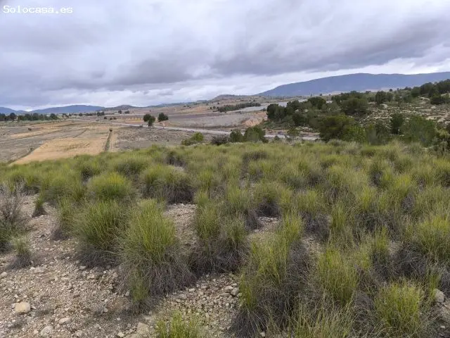 Parcela en Venta en Monovar -  Alicante