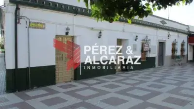 Casa Pareada en Venta Avenida Campana 300m2