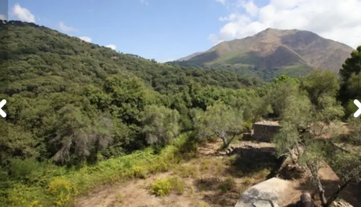 Cortijo de 72 hectáreas en Casares: Reforma y Naturaleza