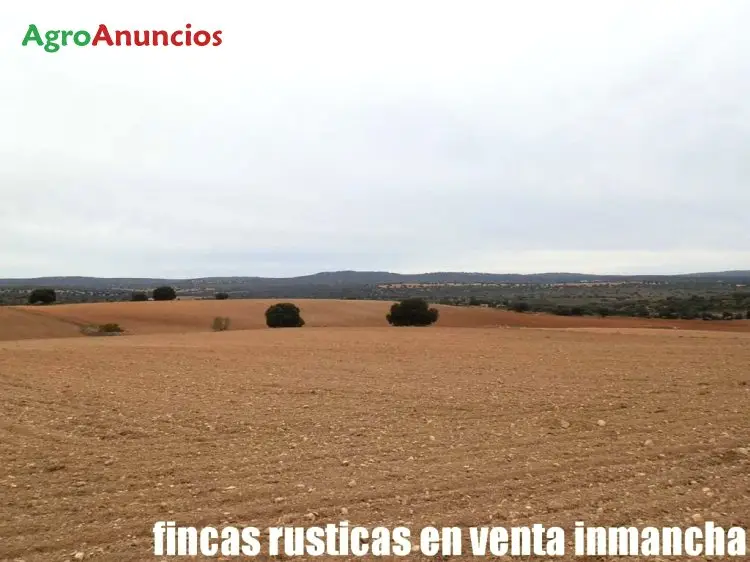 Venta  de Finca rústica de labor secano y monte en Albacete