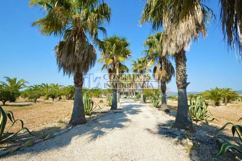 Finca Rustica con Chalet y Piscina cerca de Vinaros