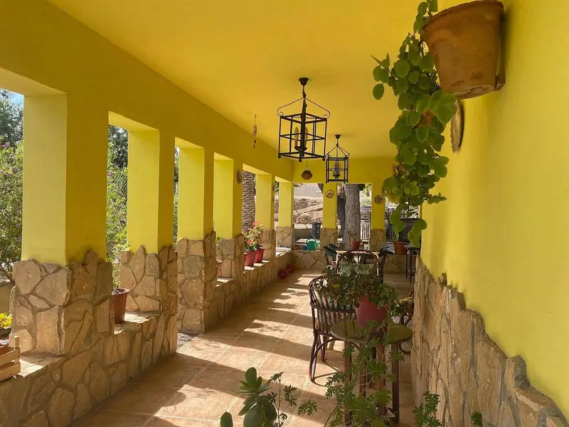 Chalet en Venta Novelda 3 Dormitorios 2 Baños Jardin 1816m2