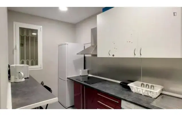 Alquiler Apartamento 5 Dormitorios Madrid Zona Rio Rosas