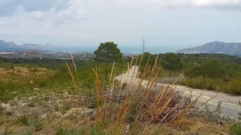 Venta Parcela de Lujo Coloma La Nucia 43450m2 Vistas al Mar