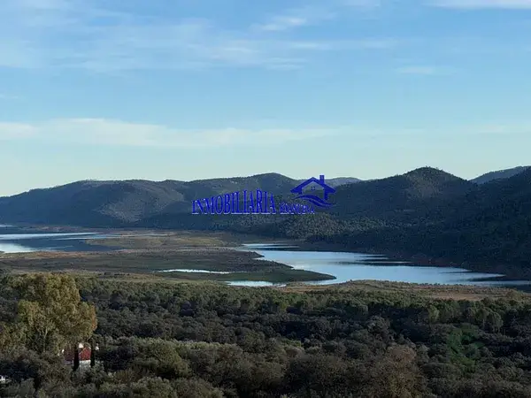 Finca de Olivar con Casa - 115 ha - 800 Olivos