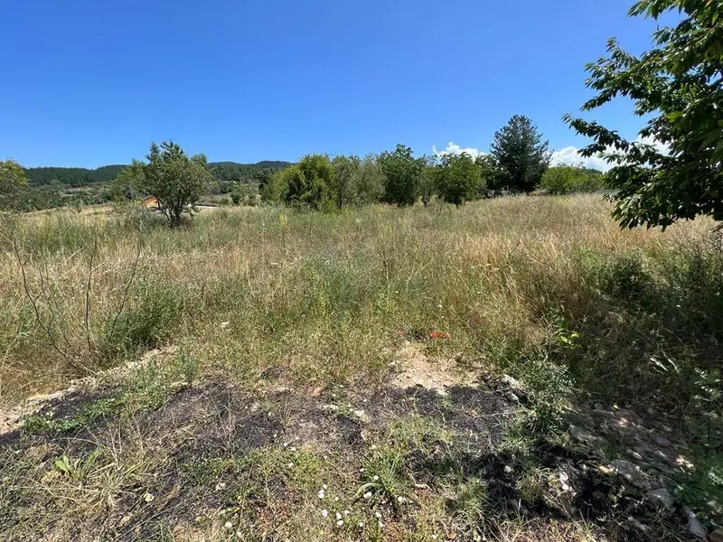 Venta Solar 2500m2 Cubillos del Sil Segregable