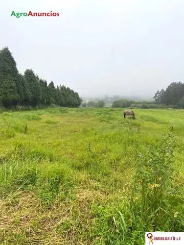 Venta  de Finca llana y soleada en A Coruña