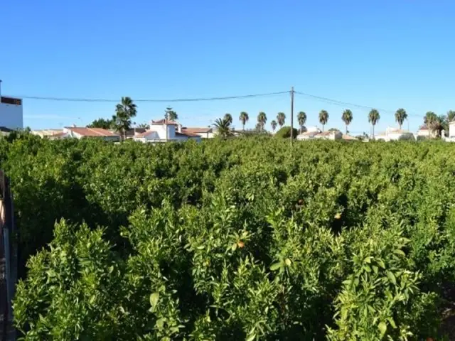Terreno Edificable en Venta Els Poblets 800m2
