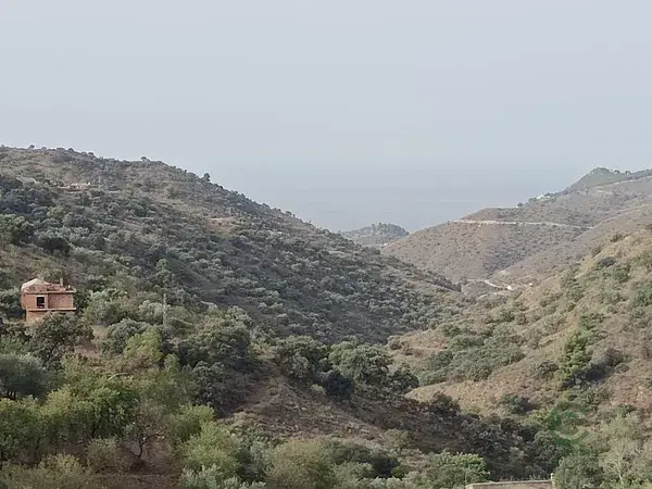 Parcela Rustica 2ha Malaga Vistas Bahia Almendros Olivos