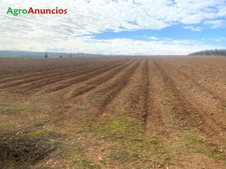 Venta  de Finca de regadío en Granada