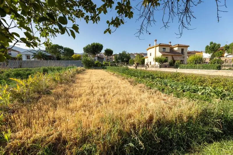 Terreno en Venta La Zubia Residencial Intensivo