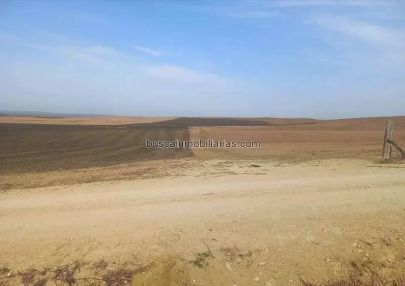Parcela Rustica en Venta Tarifa 69 Ha