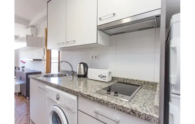 Apartamento 1 Dormitorio 35m2 Valencia Centro Jardin del Turia