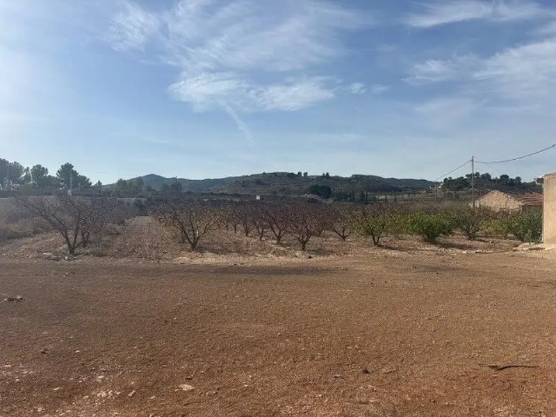 Parcela en Venta cerca de Monóvar 11000m2