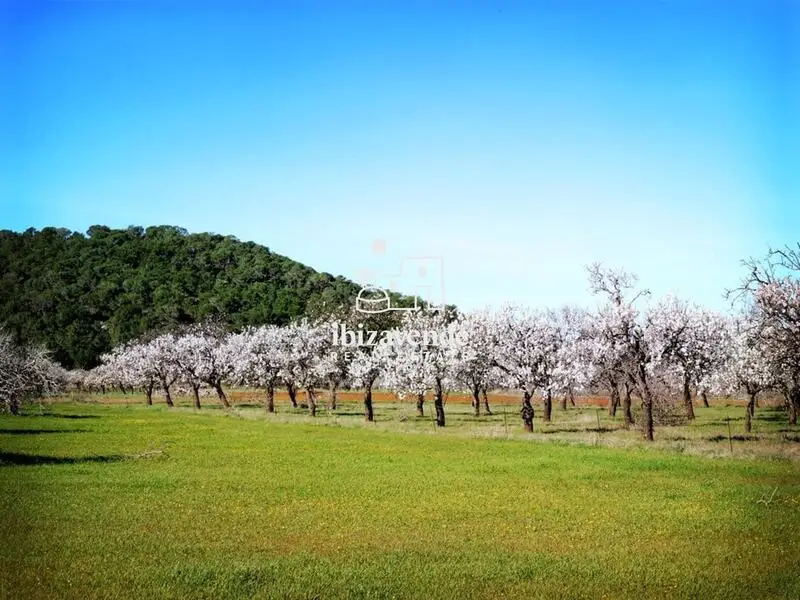 Casa de Campo en Venta en San Juan Ibiza