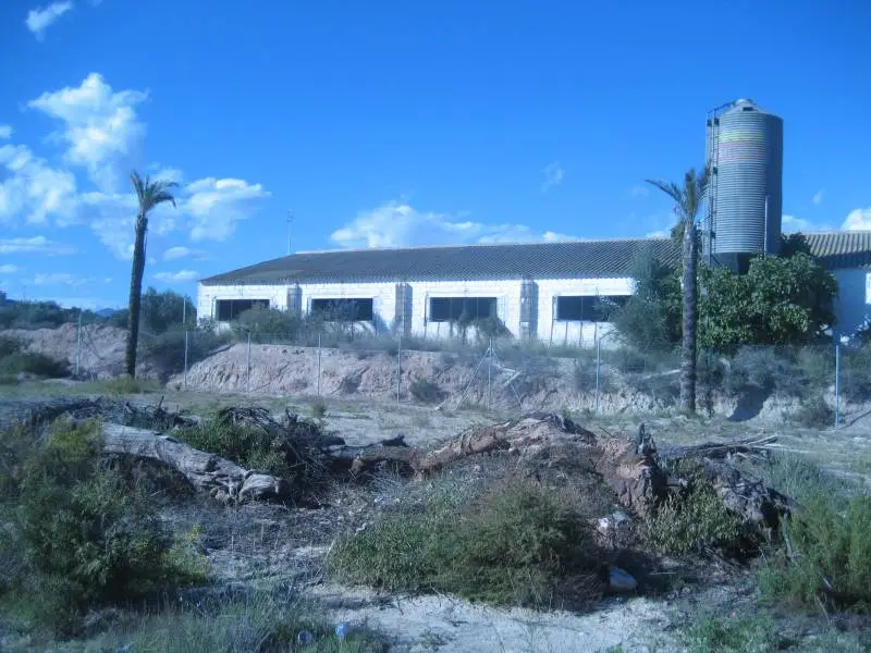 Venta Solar 5000m2 con Nave 843m2 Almajalejo Huercal-Overa