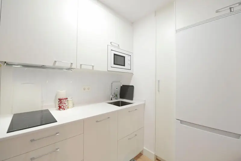 Apartamento 1 Habitacion 25m2 Reformado
