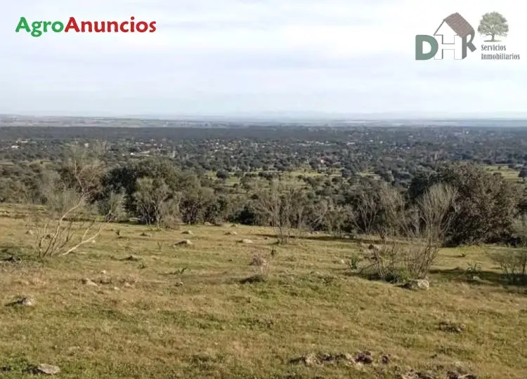 Venta Finca Dehesa Toledo 51 Has Proyecto Vivienda