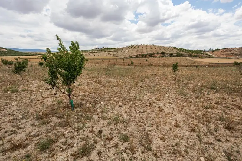 Venta Terreno Rustico Chimeneas 5 Hectareas