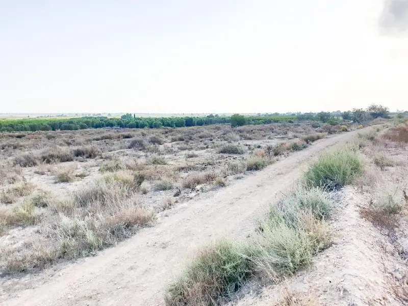 Venta Parcela Vistas Mar La Marina Elche