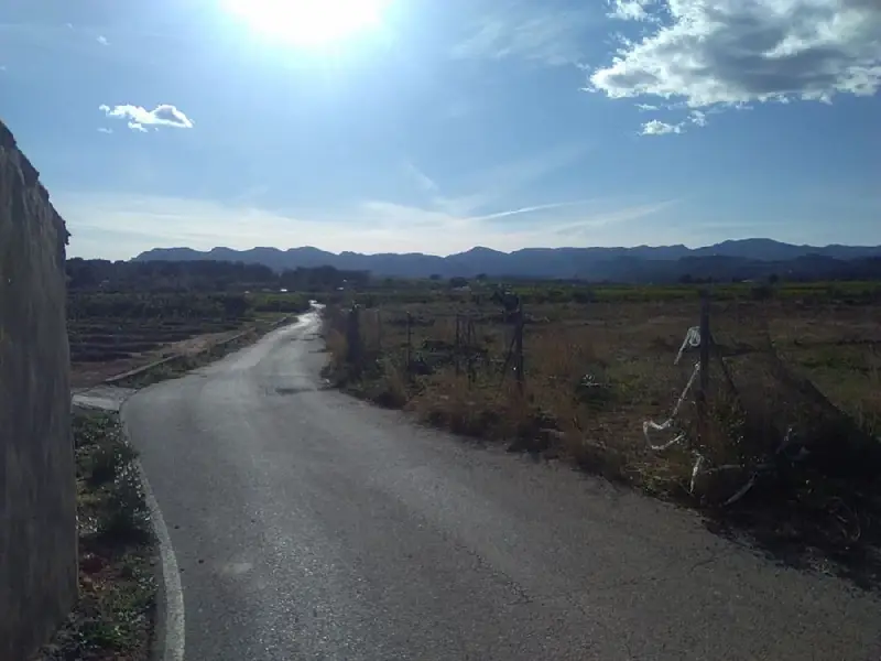 Venta Finca en Alfara de la Baronía, Algimia de Alfara - Ref: 155