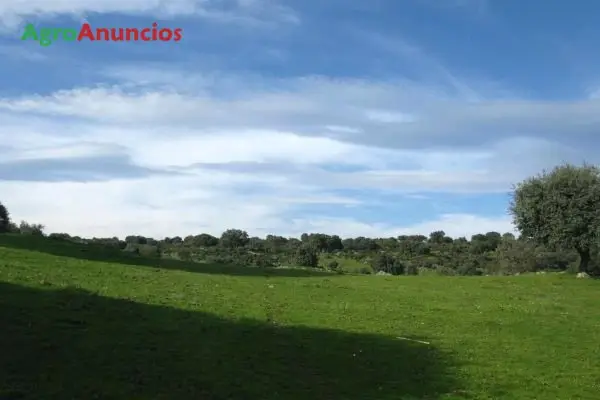 Venta  de Finca ganadera en la comarca de la vera en Cáceres