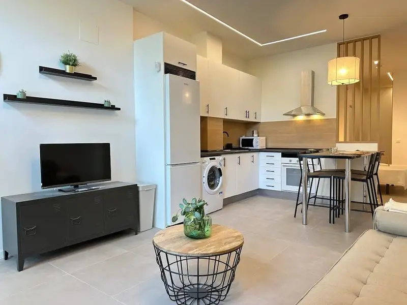 Apartamento en Alquiler Madrid 1 Dormitorio 1 Ba
jo